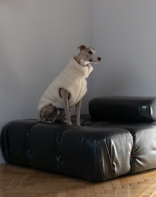 Woolen Dog Vest - White-1