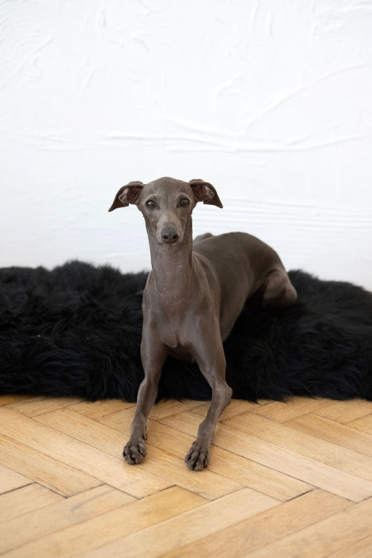 Square or Rectangular Natural Sheepskin Pet Mat - Black-0